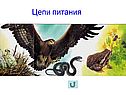 Цепи питания