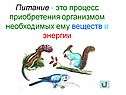 Питание