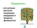 Продуценты