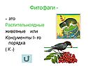 Растительноядные животные