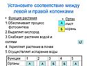 Установите соответствие