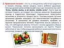 Правила ЗОЖ