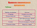Правила закаливания организма
