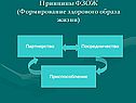 Принципы ФЗОЖ (Формирование здорового образа жизни)