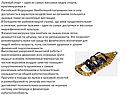Реферат по физической культуре