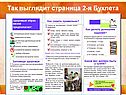 Так выглядит страница 2-я Буклета