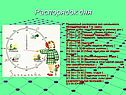 Распорядок дня