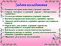 Задачи исследования