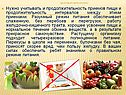 Продолжительность приемов пищи