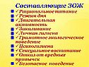 Составляющие ЗОЖ