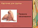 Правила закаливания