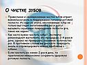 О чистке зубов