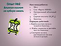 Опыт №2 Влияние кислот на зубную эмаль