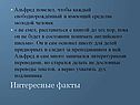 Интересные факты