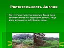 Растительность Англии