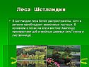 Леса Шотландии