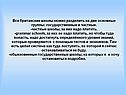 Все британские школы можно разделить на две основные группы: