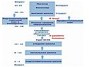 Английское образование
