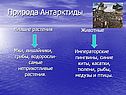 Природа Антарктиды