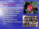Третий день