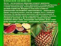 Сельское хозяйство