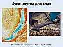 «Байкал» 8 класс