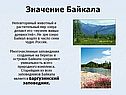 Неповторимый животный и растительный мир озера