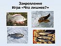 Игра «Что лишнее?»