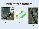 Игра «Что лишнее?»