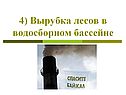 Вырубка лесов
