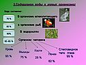 Содержание воды в живых организмах