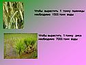 1500 тонн воды
