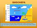 Биосфера