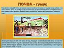 ПОЧВА - гумус