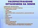 Распространение организмов на земле