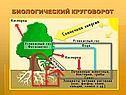 Биосфера география
