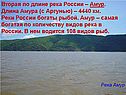 Амур