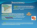 Экономика