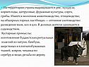 На территории страны выращиваются рис, кукуруза, корнеплоды,