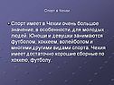 Спорт имеет в Чехии очень большое значение, в особенности, для молодых