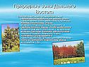 Природные зоны Дальнего Востока