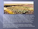 Каменные насыпи