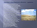 Курганы в Оренбургской области