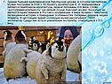 Здание бывшей единоверческой Никольской церкви, в котором расположен