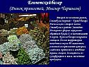 Египетский базар