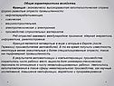 Общая характеристика хозяйства