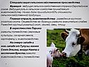 Специализация сельскохозяйственного производства