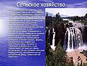Сельское хозяйство…
