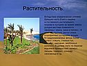 Растительность