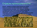 Отрасли промышленности